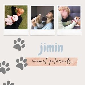 BTS Jimin Animal Polaroids 6pcs Pack